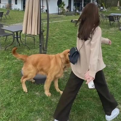 核战前夕